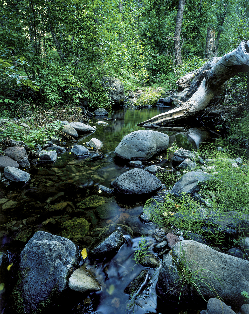 A number of creeks originate from ephemeral springs to feed the Blue’s diverse plant and animal community. | JERRY SIEVE