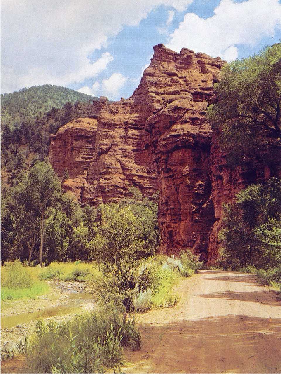 A sandstone formation looms over a road to the Blue River, near the Arizona-New Mexico state line. The Blue is one focus of the 170,000-acre Blue Range Primitive Area. By Darwin Van Campen