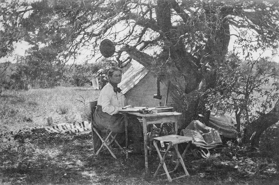 Bailey is pictured at her birding camp in New Mexico Territory in the early 1900s. She reported being more comfortable in nature than indoors, once saying she preferred to sleep “with the heavens for a roof.” | American Heritage Center, University of Wyoming