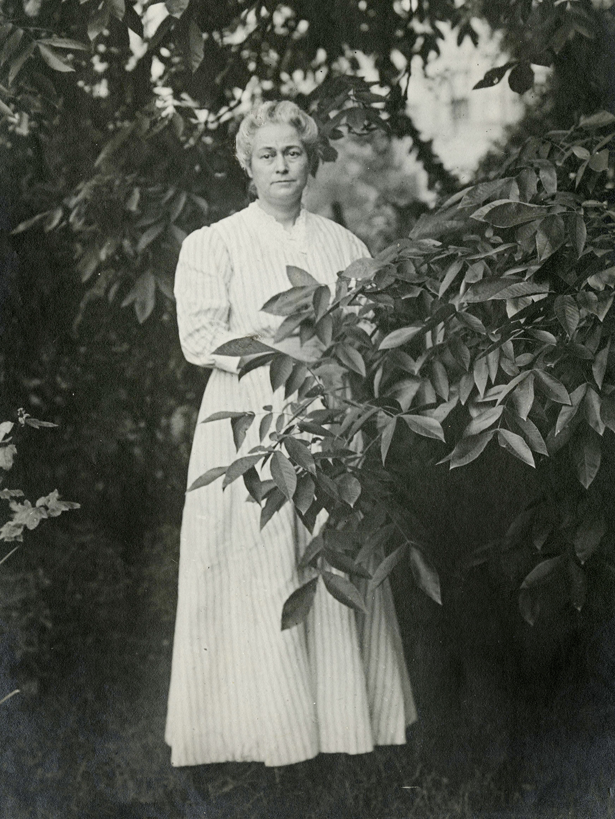 Pioneering ornithologist Florence Merriam Bailey is shown in an undated portrait. Bailey’s method of quietly observing her subjects helped usher in the modern approach to birding and birdwatching. | Smithsonian Institution