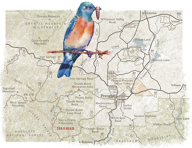 Illustrated map of the area by Kevin Kibsey