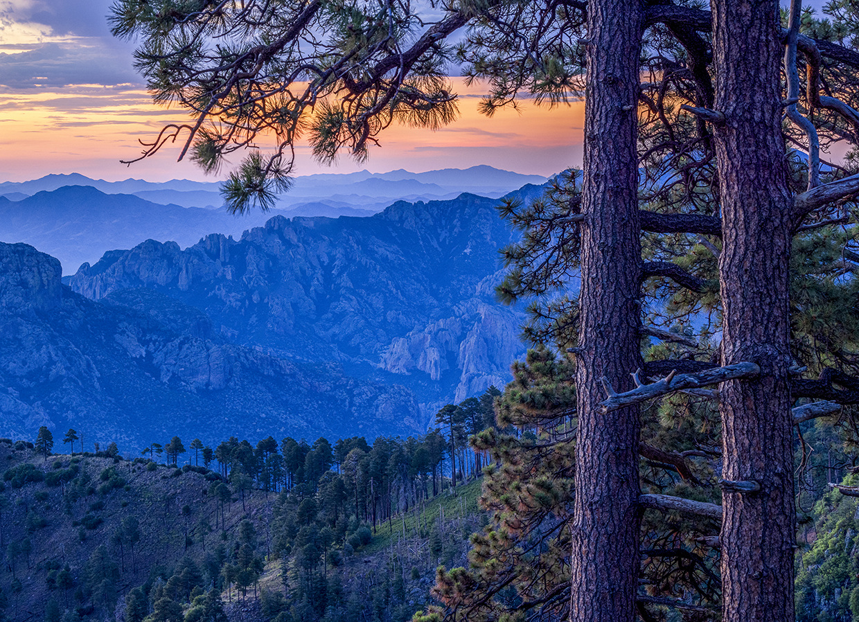Jagged mountains form a layered panorama at sunrise in a view near Rustler Park, part of Southeastern Arizona’s Chiricahua Mountains. Named for the cattle thieves who once holed up there, Rustler Park is known for its birding and wildlife-watching opportunities. By Jeff Maltzman
