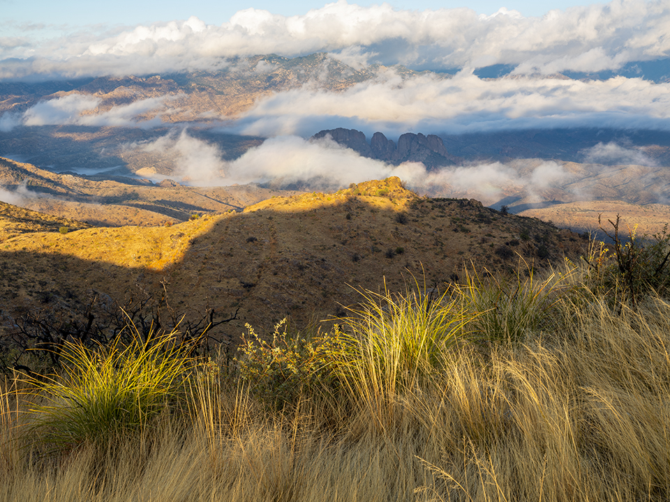 Morning light and low, wispy clouds define a view from the North Santa Teresa Wilderness, northwest of Safford in Eastern Arizona. Located adjacent to the San Carlos Apache Tribe’s land, this 5,800-acre wilderness area protects Black Rock, a landmark that holds spiritual significance to the tribe. By Jonathan Buford