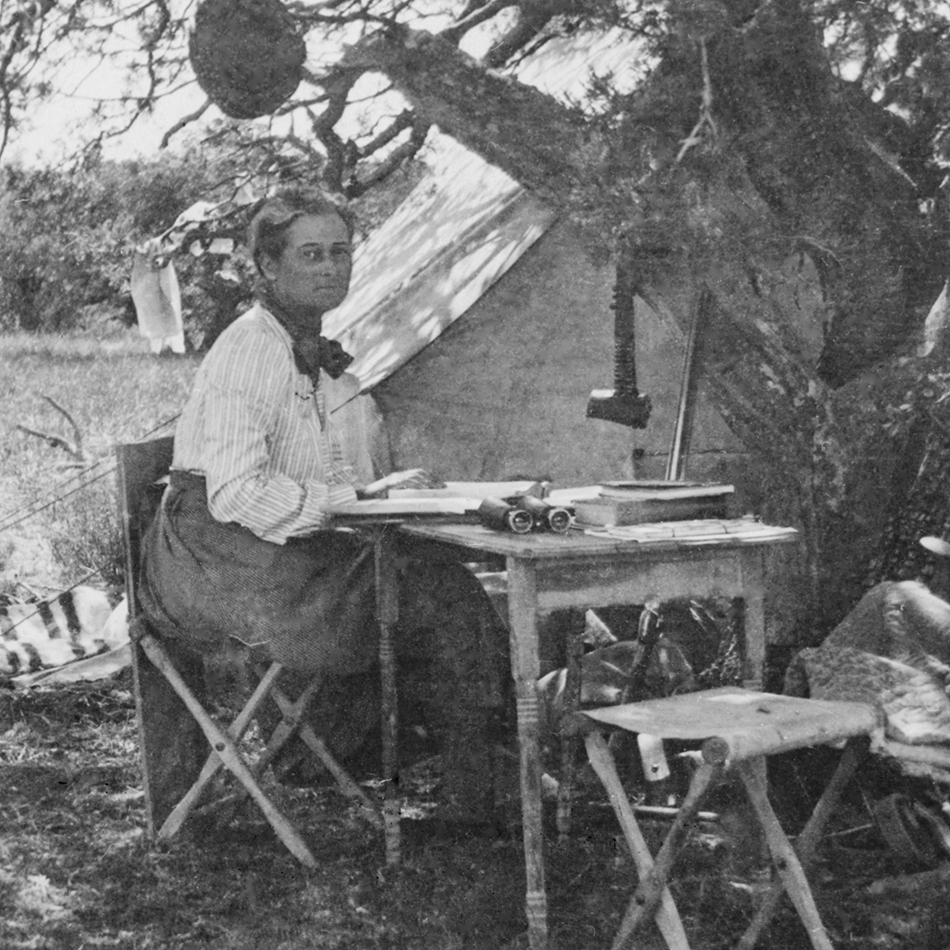 Florence Merriam Bailey is pictured at her birding camp in the New Mexico Territory in the early 1900s. Courtesy American Heritage Center, University of Wyoming