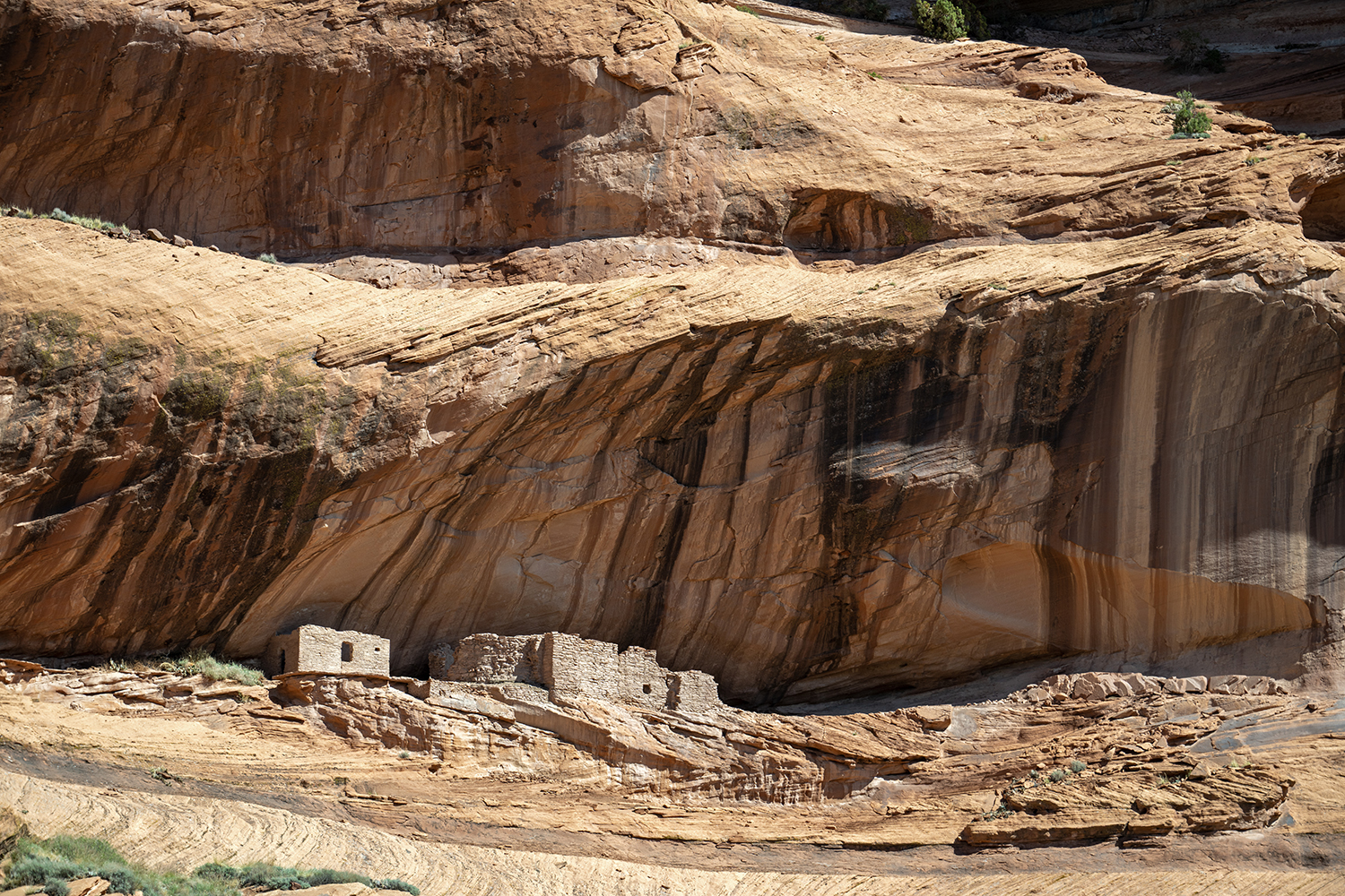 One of the ancient pueblos at Canyon de Chelly National Monument clings to a sandstone alcove. By Patricia Fiedler