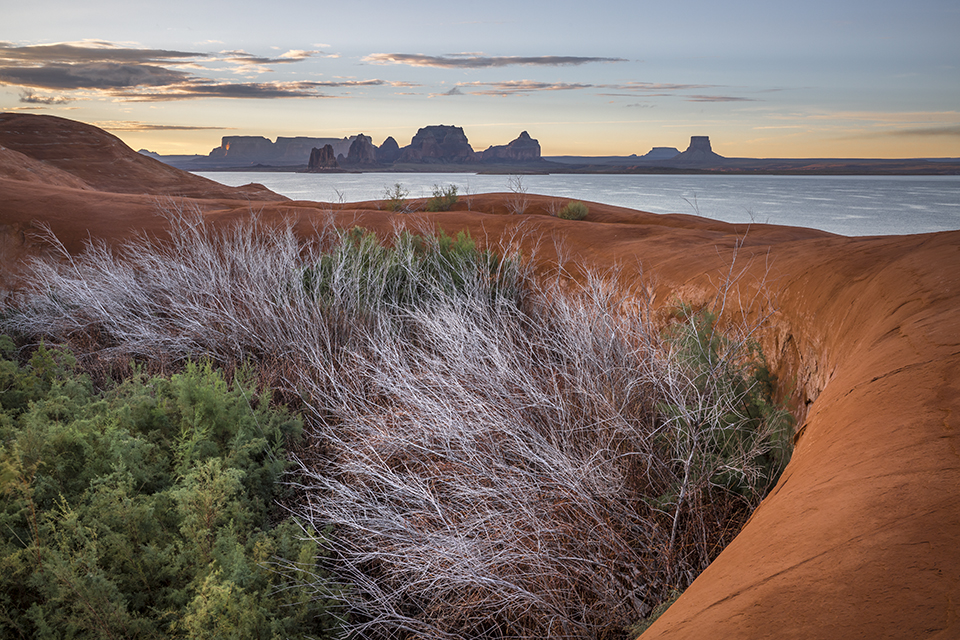 Smooth sandstone and leafless vegetation anchor a view of Tower Butte (right) and other landmarks on the south side of Lake Powell. This view is looking south from a ridge on the Utah side of the reservoir, which covers more than 250 square miles when full. By Suzanne Mathia