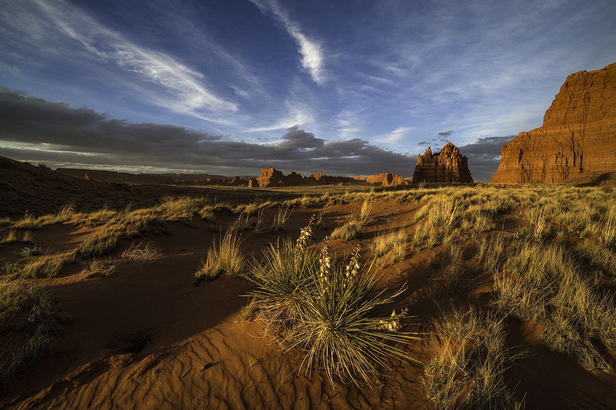 Flowering yuccas catch the last light of the day beneath the sandstone buttes of the Navajo Nation, which makes up much of Arizona’s northeast corner. Covering more than 27,000 square miles in Arizona, New Mexico and Utah, the Navajo Nation is the largest tribal land in the United States. By Bernhard Michaelis