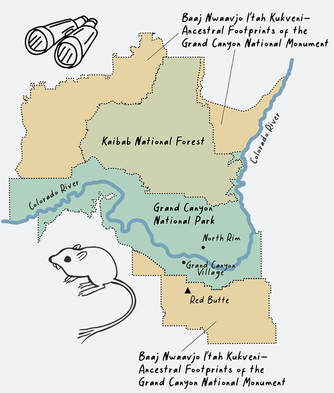 Map of the 3 sections of Baaj Nwaavjo I,tah Kukveni and the area between them.