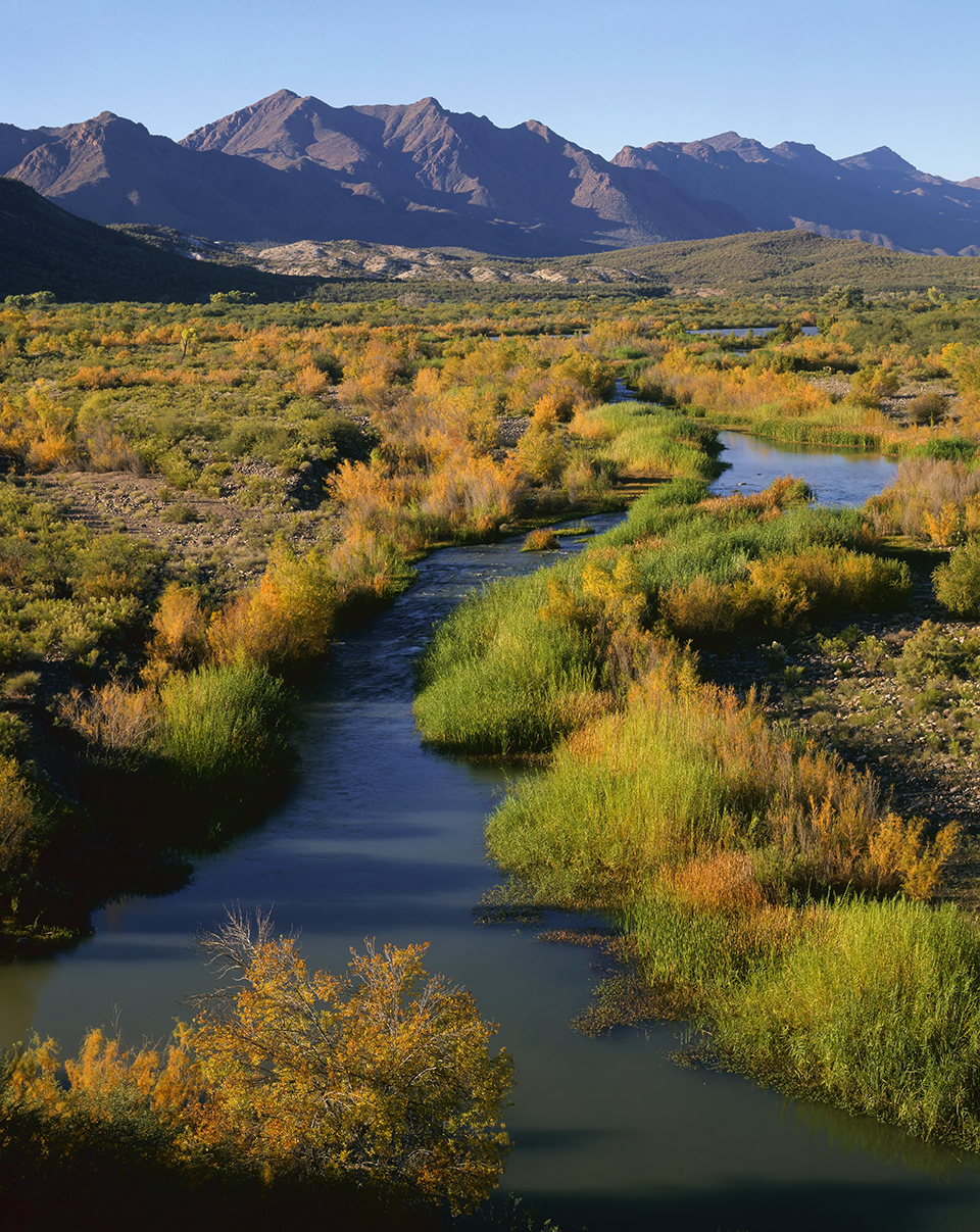 With the Mazatzal Mountains to the northeast, tamarisks display their autumn hues along the Verde River’s banks near Horseshoe Lake. | Randy Prentice