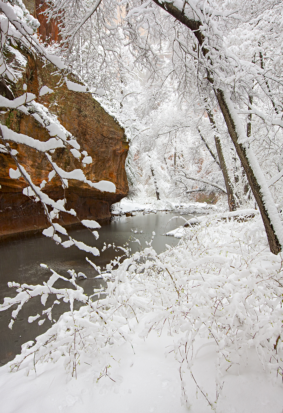 The frigid West Fork of Oak Creek, near Sedona, flows through a wintry landscape marked by snow-covered branches and a sandstone cliff. The popular hiking trail along the West Fork is accessed via a parking area along State Route 89A in Oak Creek Canyon. | Derek von Briesen