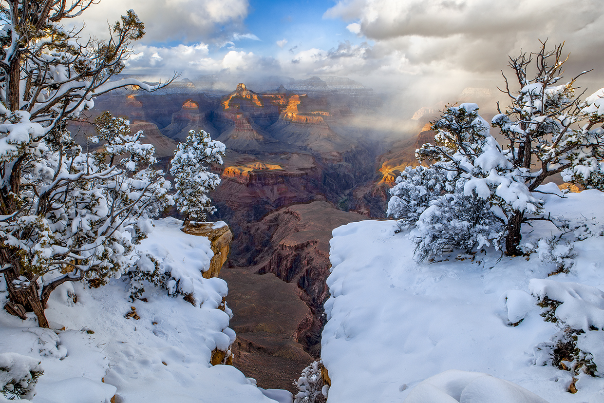 Snow-covered foliage near Yavapai Point, on the South Rim, anchors a view into the Grand Canyon at sunset. This photo illustrates how winter precipitation typically falls as snow on the Canyon’s rims, but melts into rain before reaching the bottom of the gorge. | Guy Schmickle