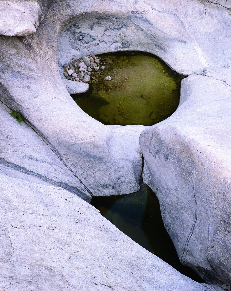 The brackish water caught in the eroded catchments of the Tinajas Altas must be shared by man and beast. | GEORGE H. H. HUEY