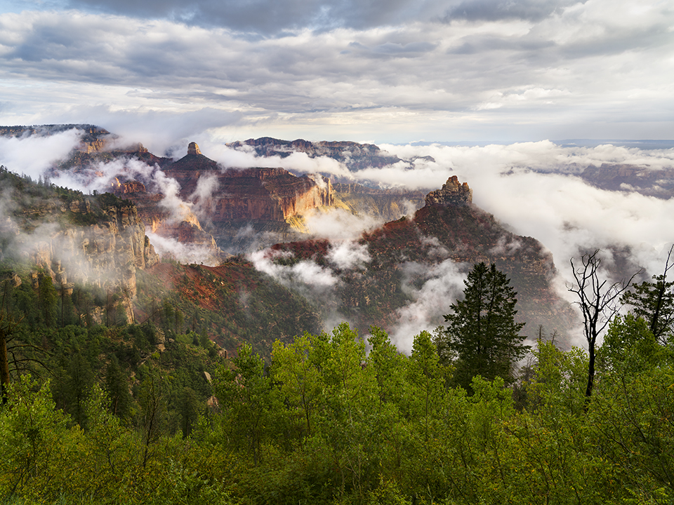 Clouds clear from below the Canyon’s rim after overnight rain, revealing the multicolored formations visible from Vista Encantada on the North Rim. This overlook is along paved Cape Royal Road. By Adam Schallau