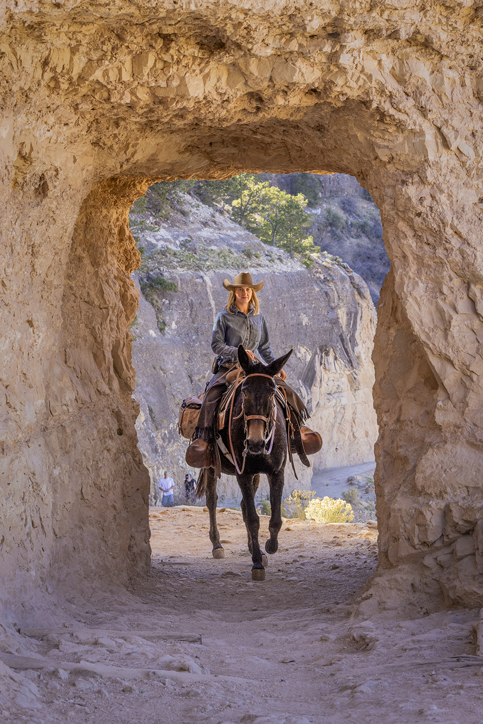 Kelbel rides a mule through one of two tunnels near the top of the Bright Angel Trail, which leads from the South Rim to the Colorado River. Trail rides for visitors follow this trail, but Kelbel also takes pack trains to Phantom Ranch via the steeper South Kaibab Trail. By John Burcham