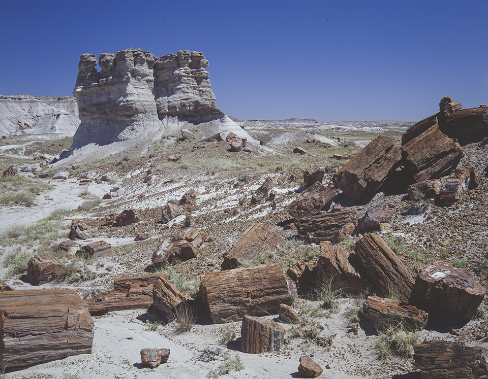Chunks of petrified logs anchor a view of a layered butte at Petrified Forest National Park, near Holbrook. The petrified logs at the park are the echoes of trees that grew there 208 million to 225 million years ago. By Josef Muench