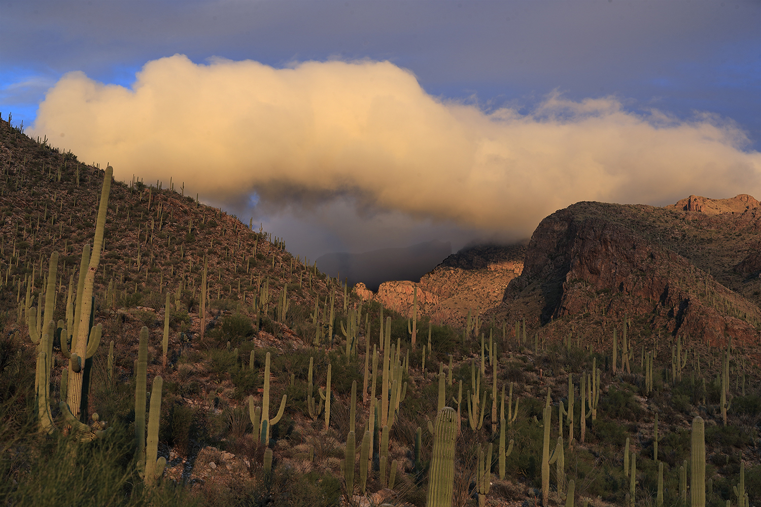 A New Year’s Day storm clears from the Santa Catalina Mountains, near Tucson, at sunset. By Resul Kurtbedin