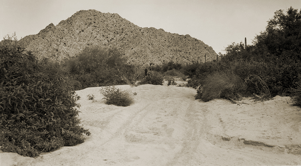 Desert mountains and saguaro cactuses loom over a sandy road in Southwestern Arizona’s Yuma County in the mid-1930s. Sonoran Desert National Park, proposed for this area in the 1960s, never materialized. | Arizona State Library, archives and public records 