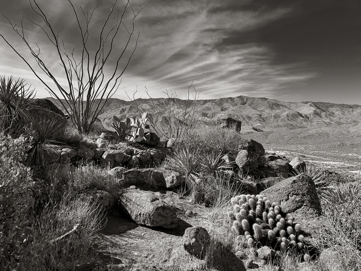 Sepia Saturday: Dramatic skies and desert flora frame a view from Sunset Point. By Kat DeLeon