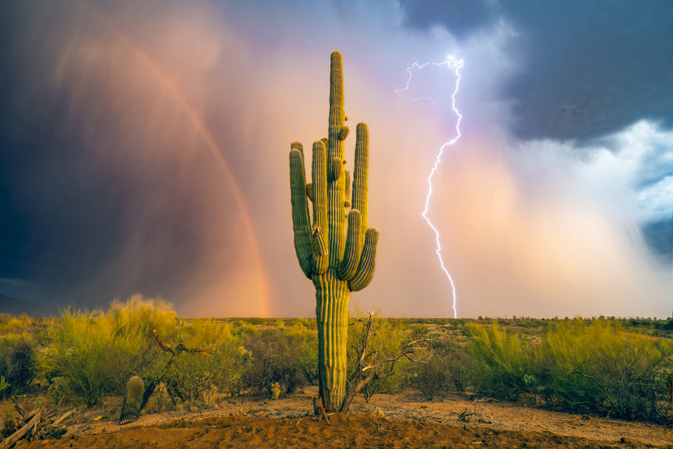 A rainbow and lightning bolt frame a single saguaro near San Manuel, Arizona. By Sean Parker 