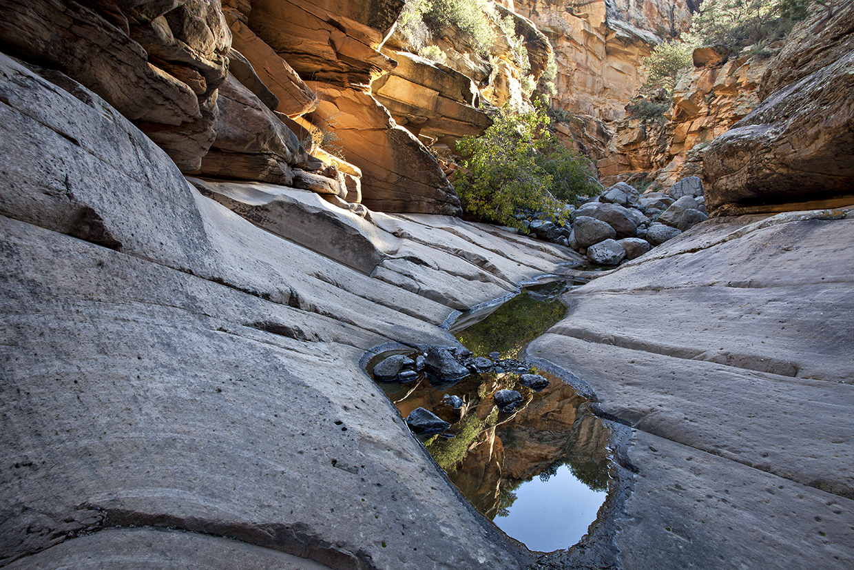 Water pools in a side canyon of Wet Beaver Creek, located southeast of Sedona. | Mark Frank