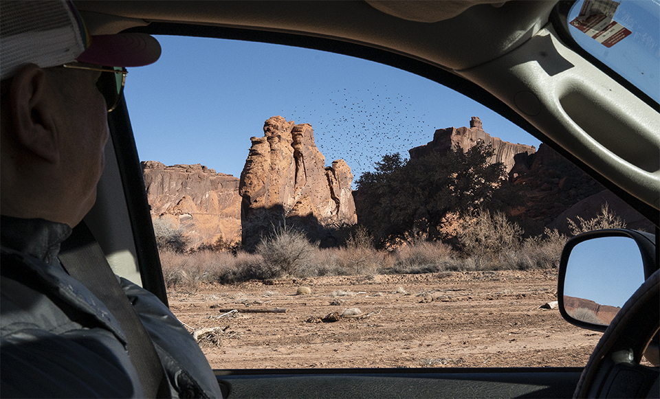 Navajo Nation member Arlando Teller drives toward his land in Canyon de Chelly. | Dawn Kish