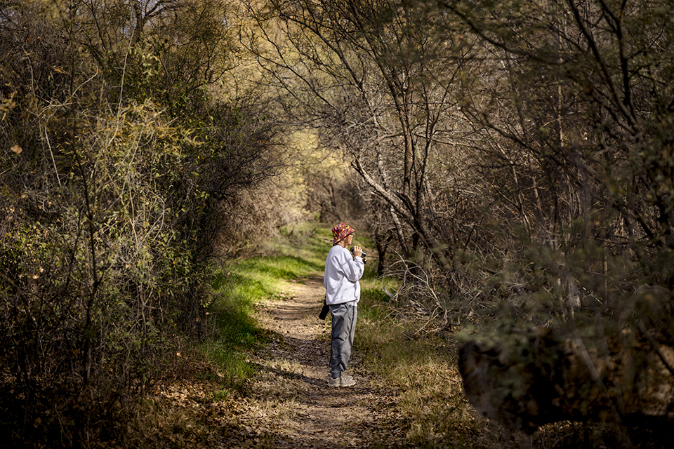 Birder Judy Ellyson, of Green Valley, hikes the Juan Bautista de Anza National Historic Trail, which runs along the Santa Cruz River in Tubac. | Jill Richards