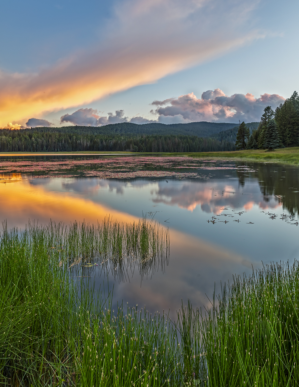 Eastern Arizona’s Lee Valley Lake mirrors evergreens and the warm colors of sunset. | DEREK VON BRIESEN