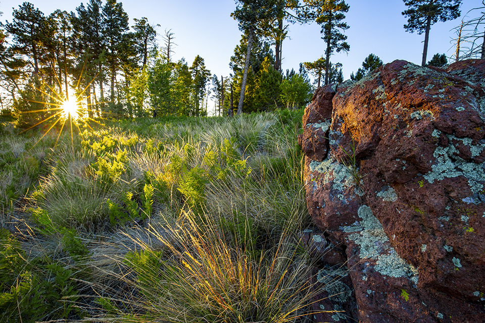 Evening sun punctuates a scene along the Centella Trail, near Centella Point in the Chiricahua Wilderness. | JOEL HAZELTON