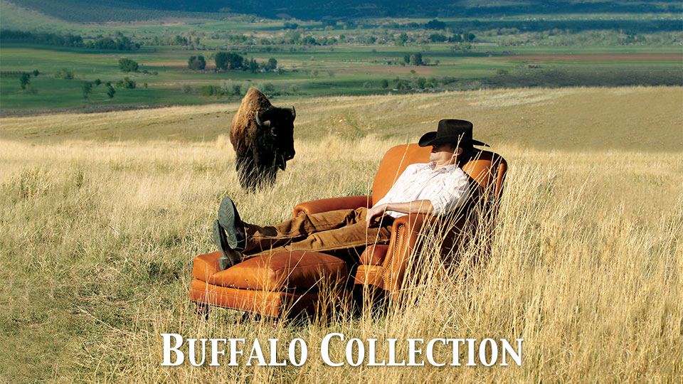 Buffalo Collection Gallery | Arizona