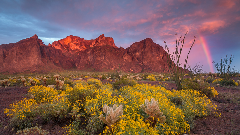 A rainbow punctuates a sunset view of Signal Peak, the Kofa Mountains’ highest point. | Paul Gill