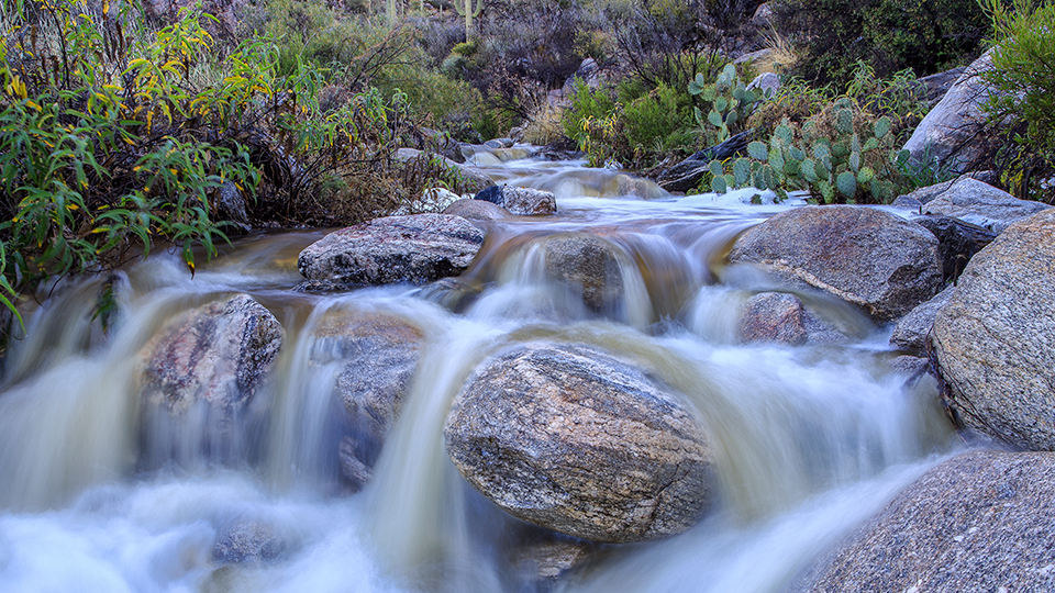 Pima Canyon Trail