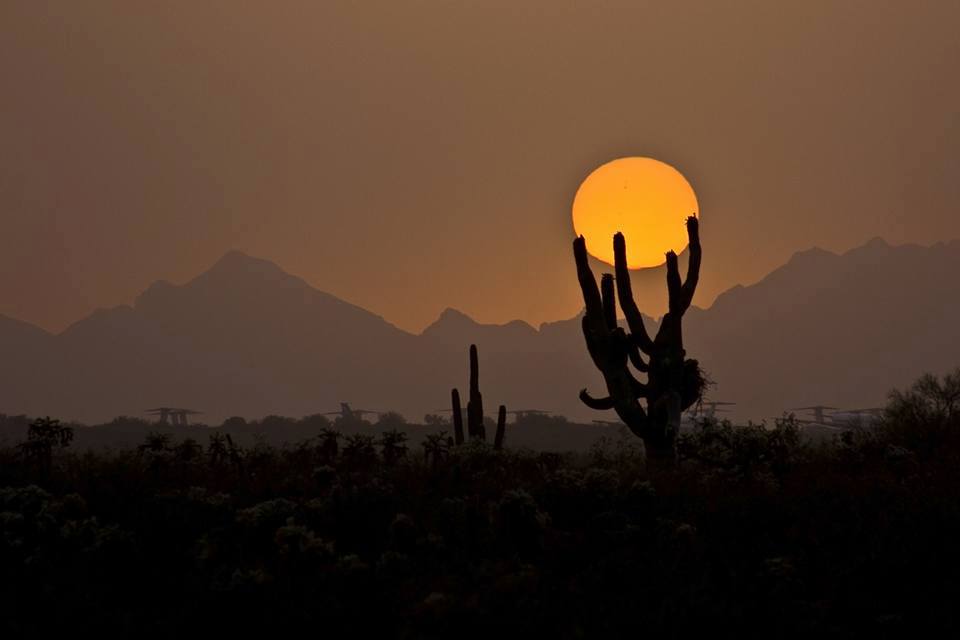 Bradley Crim | Sonoran Desert