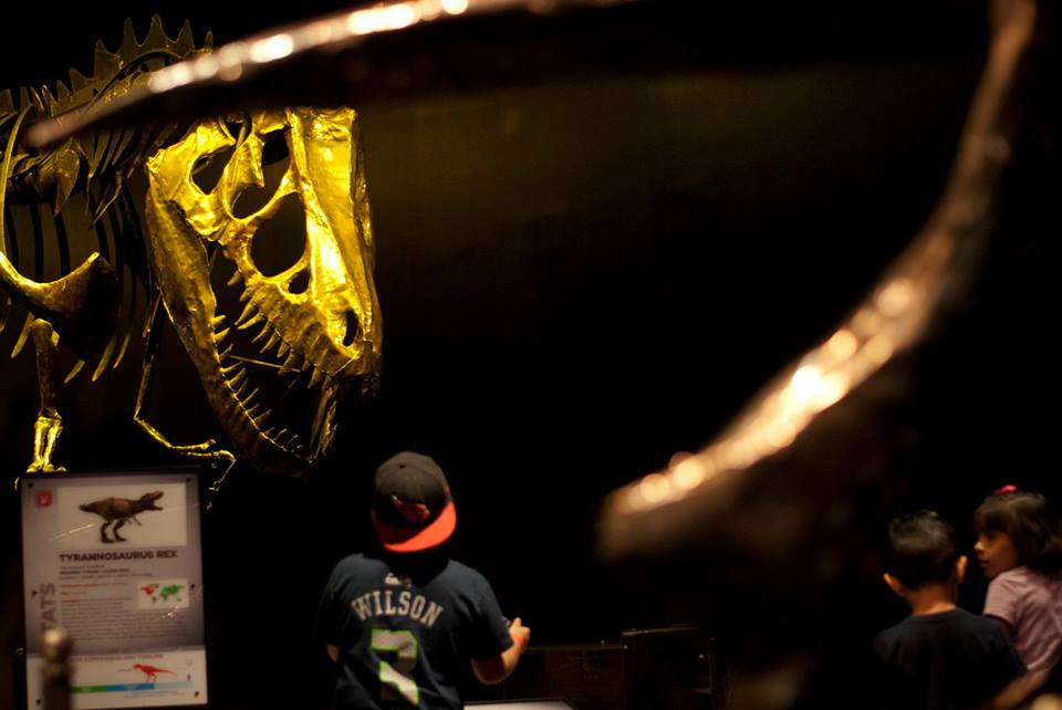 Arizona Science Center Exhibit Brings Dinosaurs to Life Arizona Highways