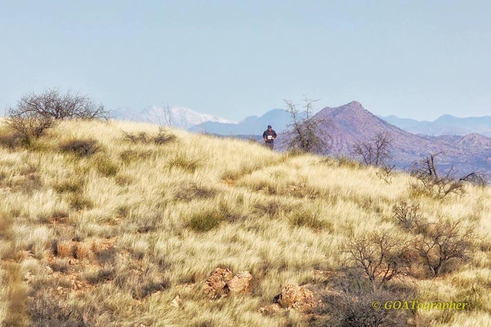 Escape to the Desert Oasis: Your Guide to Oracle State Park