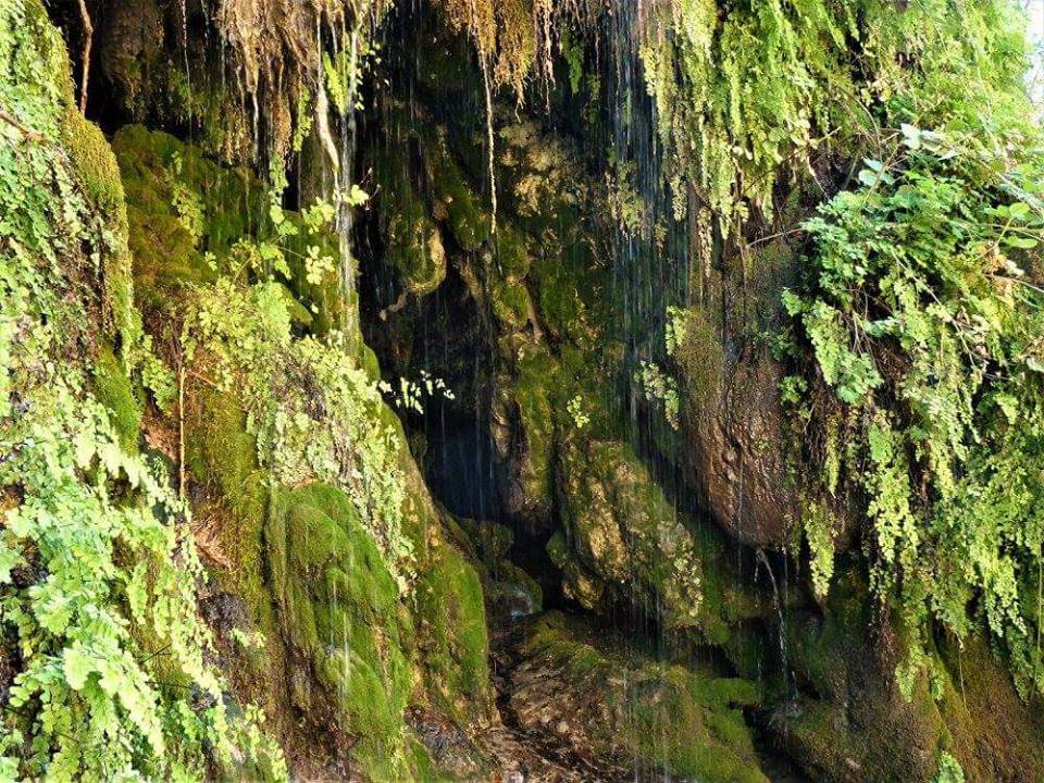 Tonto Natural Bridge Hosts Brunch Event Arizona Highways