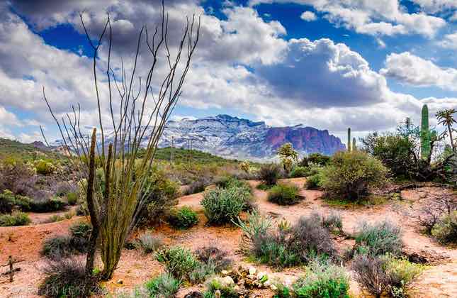 Reinier Zorge | Apache Trail