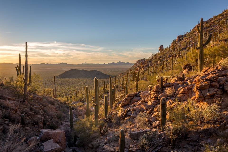 National Parks Waive Fees For Veterans Day Weekend Arizona Highways