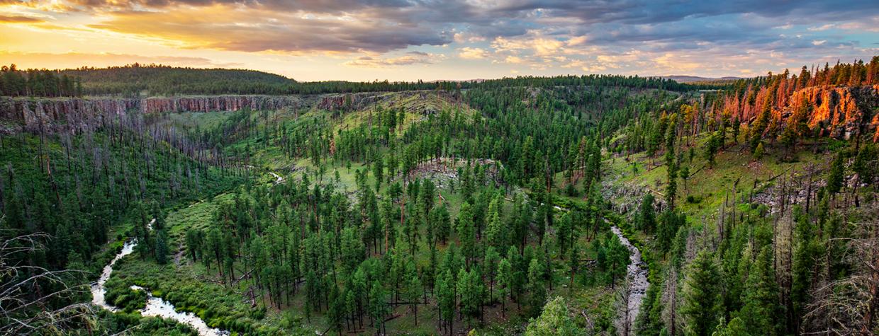 Sunset view of a large bend in the Black River