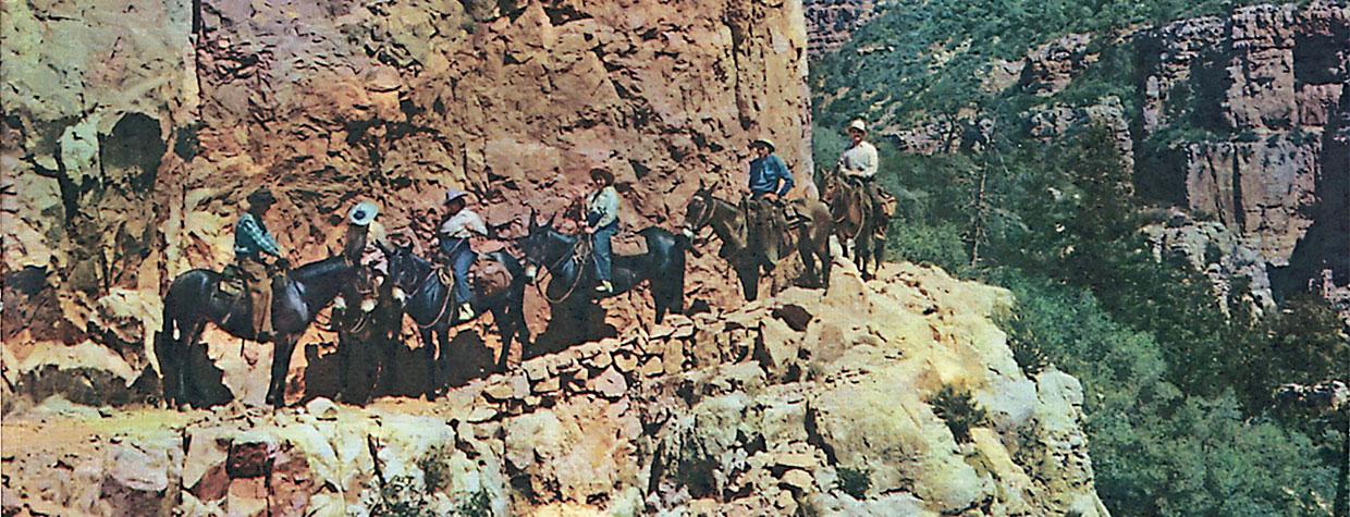 PHOENIX L （フェニックスL）【公式】GRANDCANYON(グランド