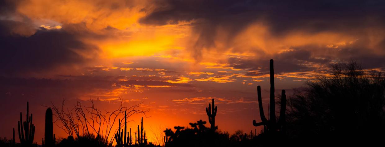 A desert sunset