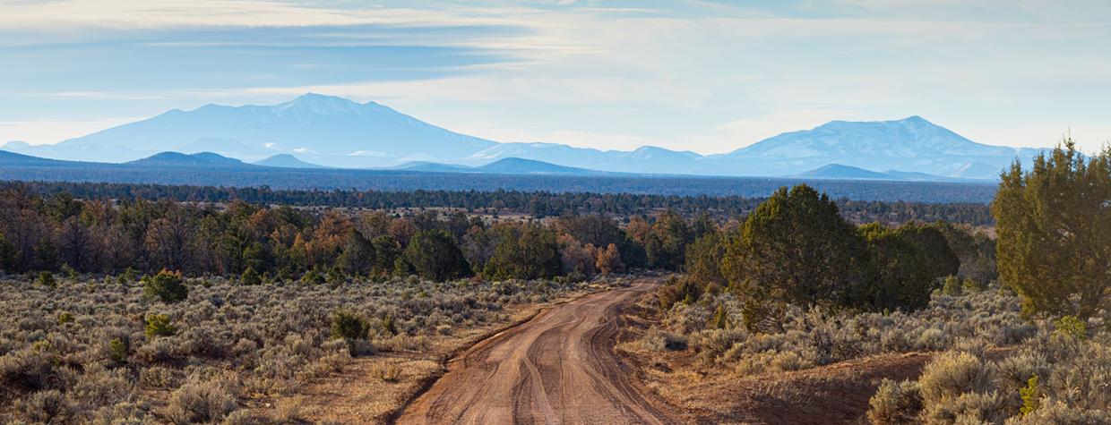 Photograph by John Burcham