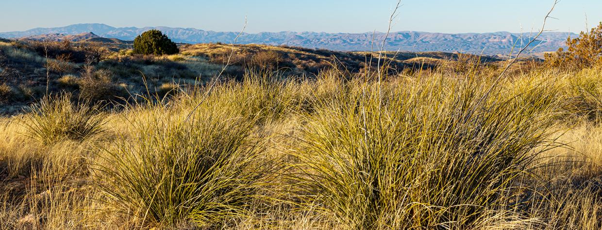 Arizona Trail Loop | Arizona Highways