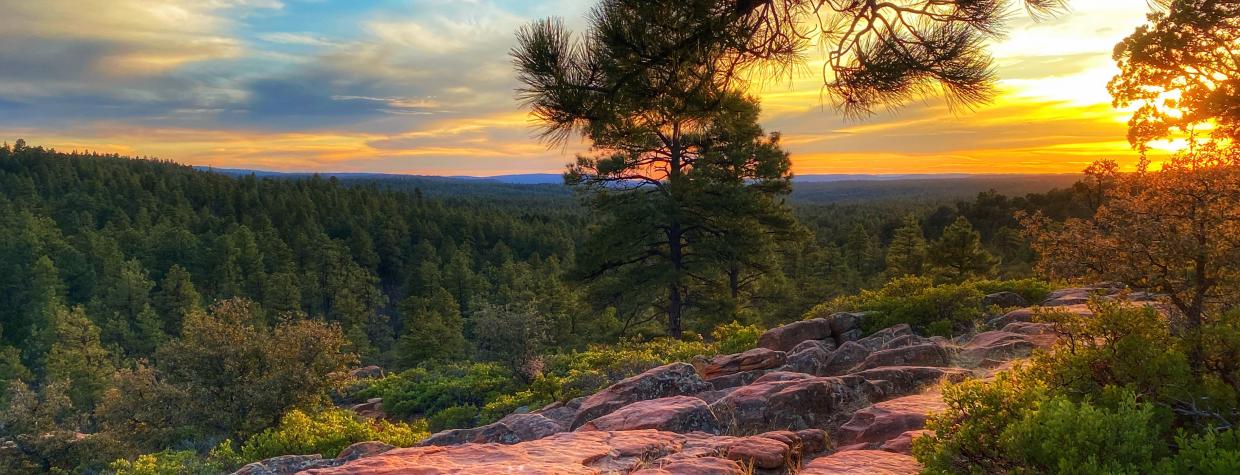 Plan your trip to Pinetop-Lakeside, Arizona