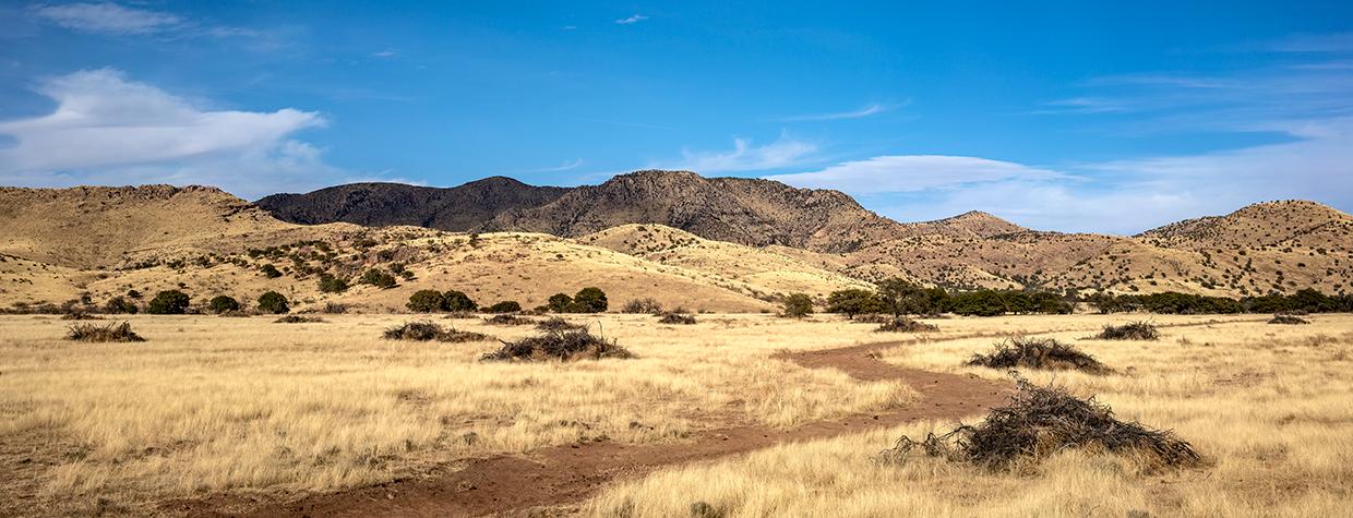 Turkey Creek Road