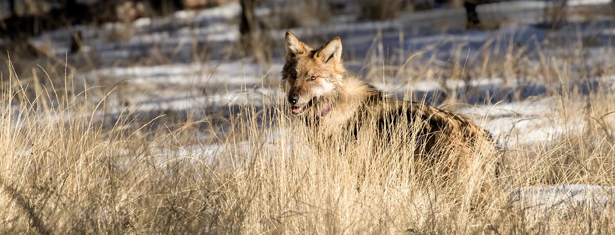 Photograph by Bruce D. Taubert