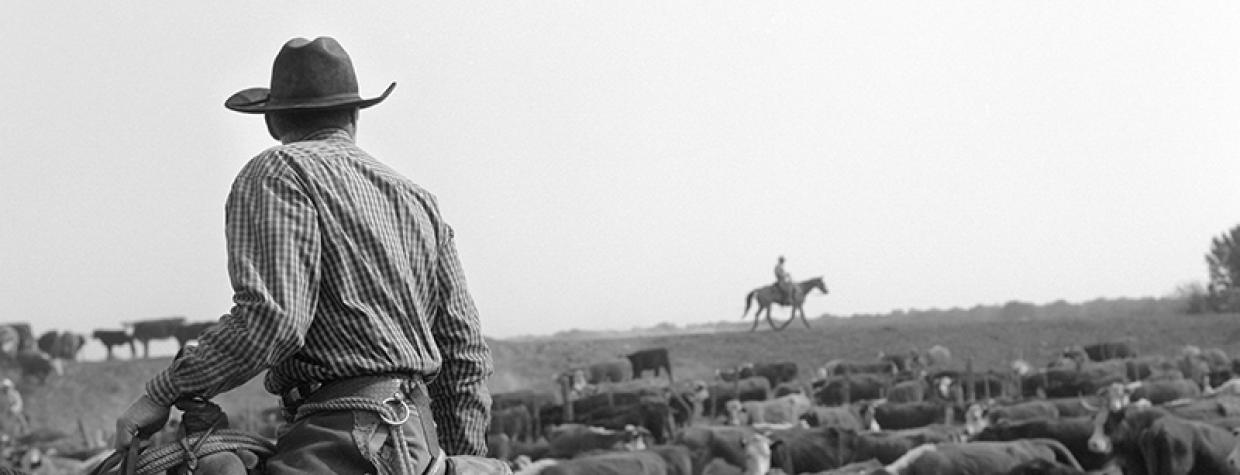 A black and white photograph of cowboys in Arizona