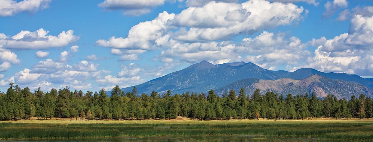 Marshall Lake’s calm water mirrors nearby ponderosa pines beneath the San Francisco Peaks. | Tom Bean