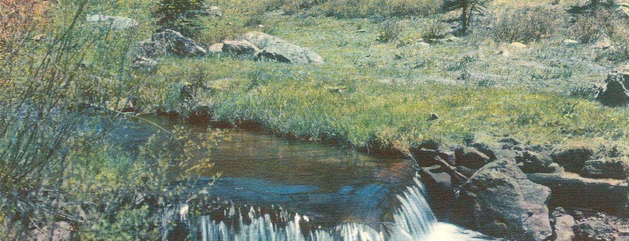 Photograph by Jack Breed (Click to view entire image.)