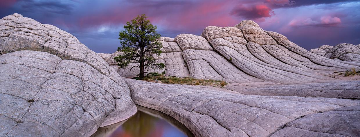 Photograph by Jessica Fridrich