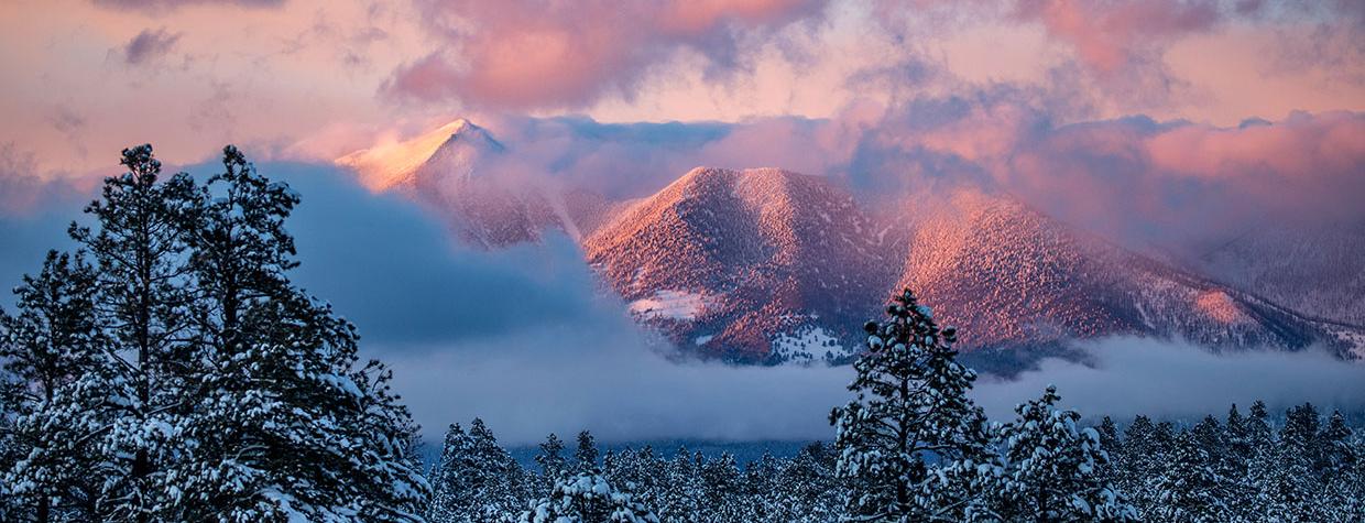 Photograph by Tom Bean